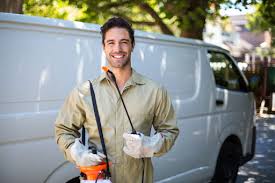 Emergency Pest Control in Elmont, NY